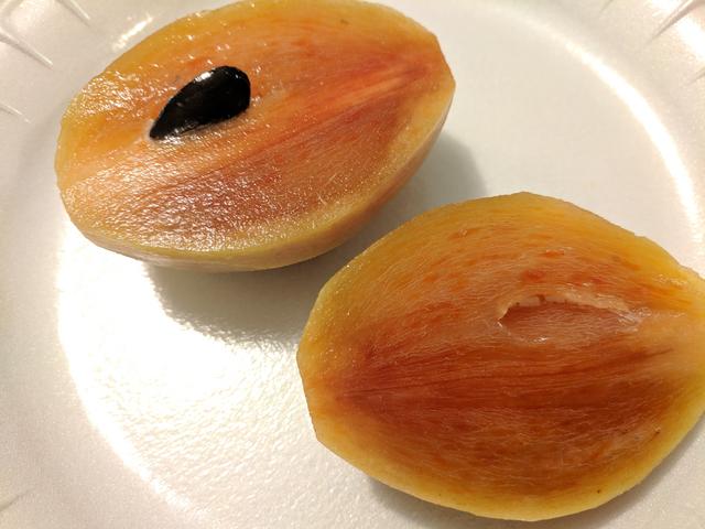 [Image: IMG-20190108-185016.jpg]