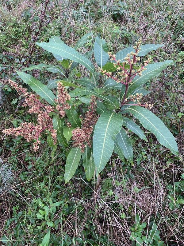 3861BAAD-E17D-4DE7-8C83-3FE72ADFF3EA