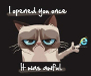 Internet-Grumpy-Cat-Explorer.jpg