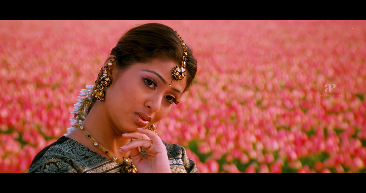 VideoCapture_20241122-200651