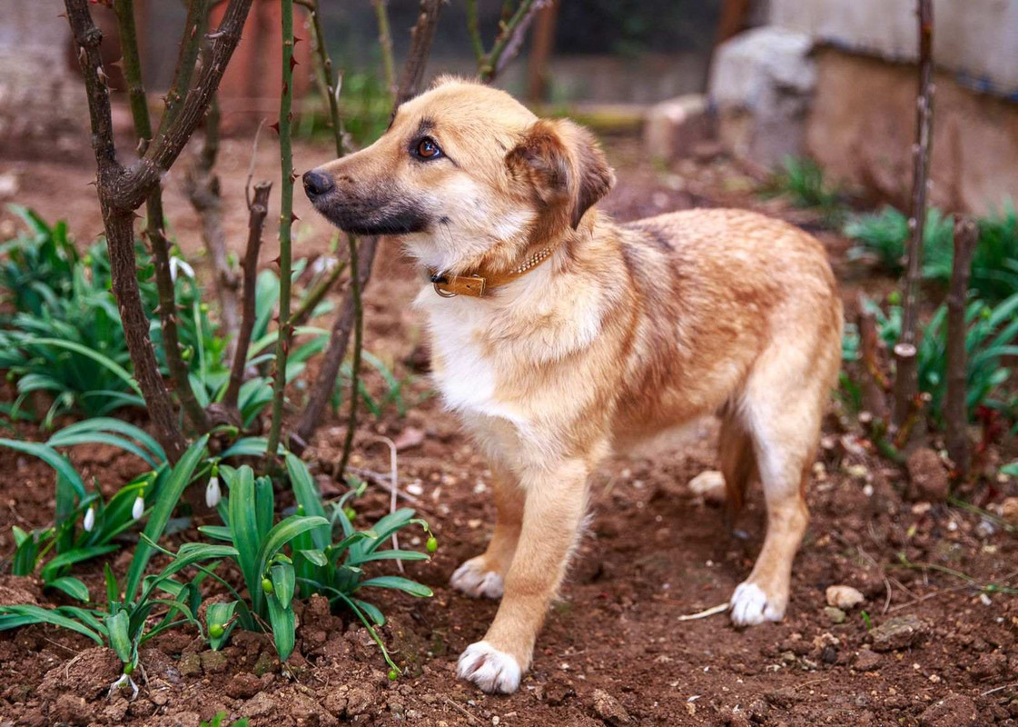 изображение_viber_2024-05-12_20-39-11-013