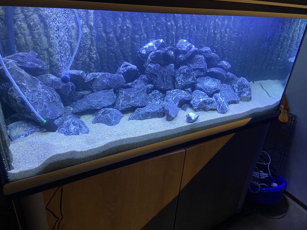 C45EFFD5-FB9F-4626-8DA7-9BC85E1FDF19