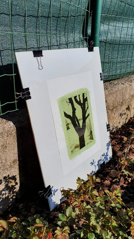 20210324_160649 (576x1024)