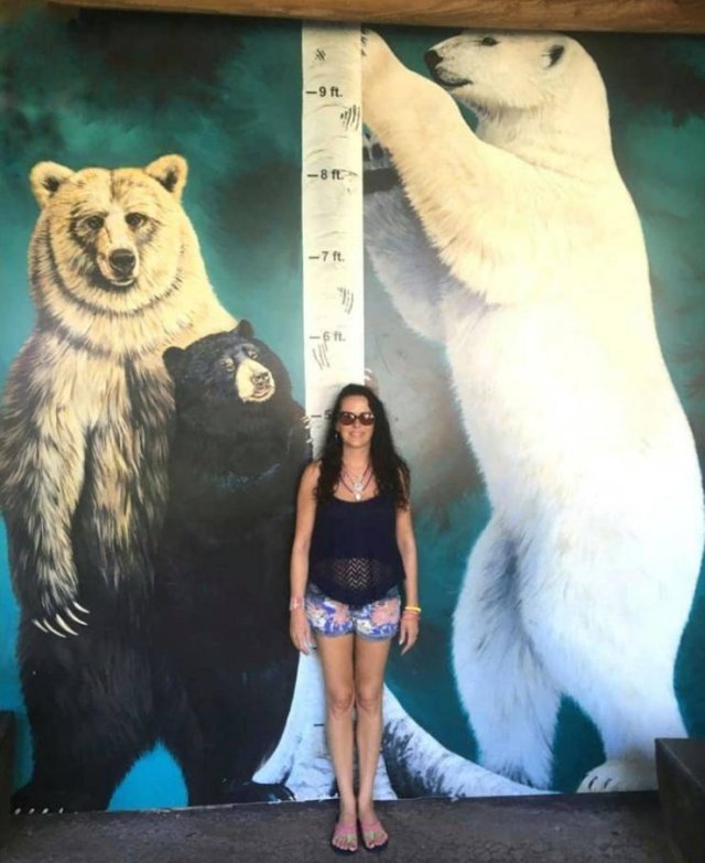 Fantastic-10