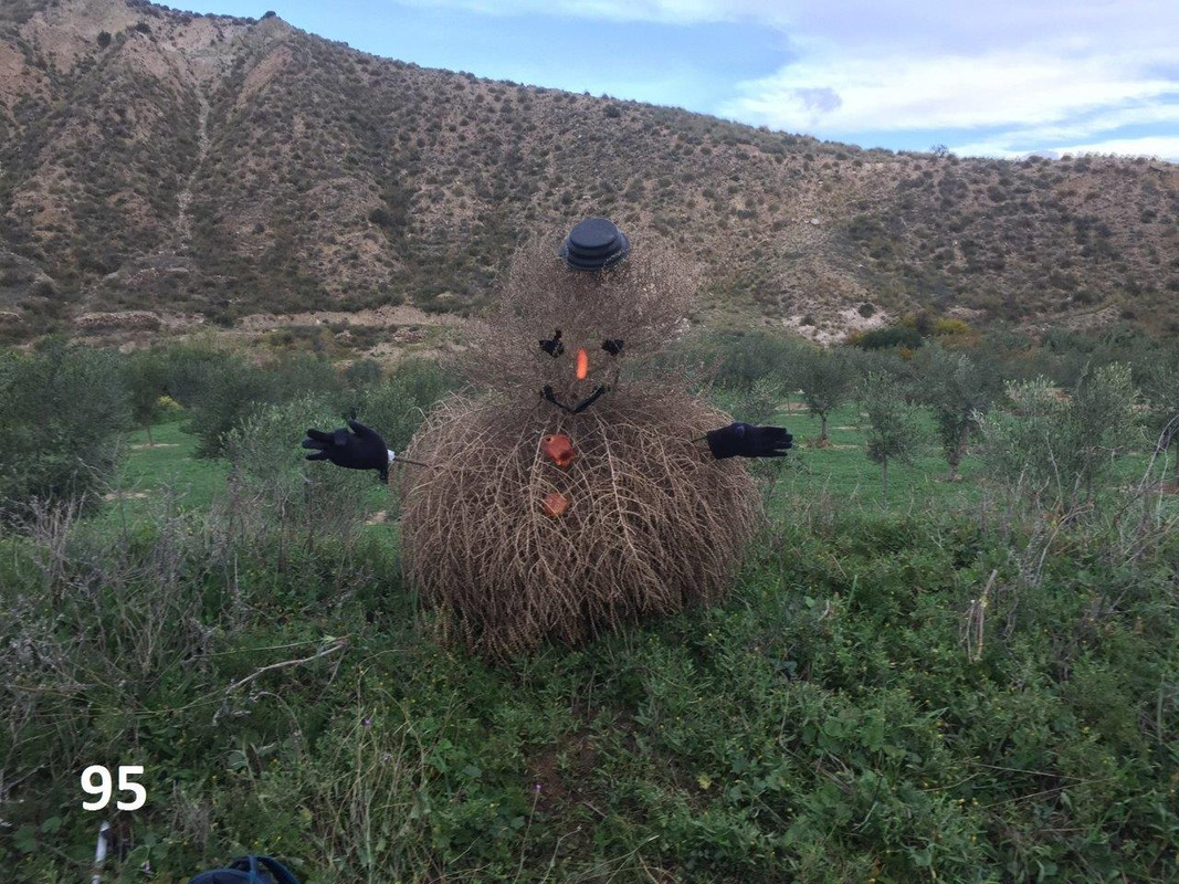 95 RaMBLA SNOWMAN aNGIE hARGREAVESImg_7125