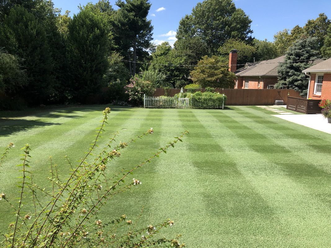 DA30B656-B664-43F5-9AFB-0791A00E0182