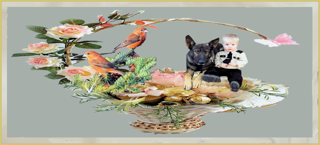 plaatje-17-maart-2022