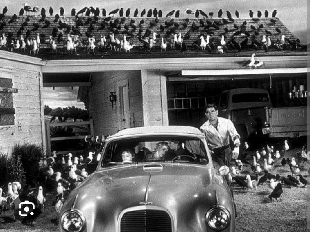 Screenshot_20240215_215402_Chrome