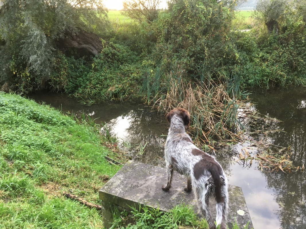 2021 oktober Sluisje IMG_0246 (002)