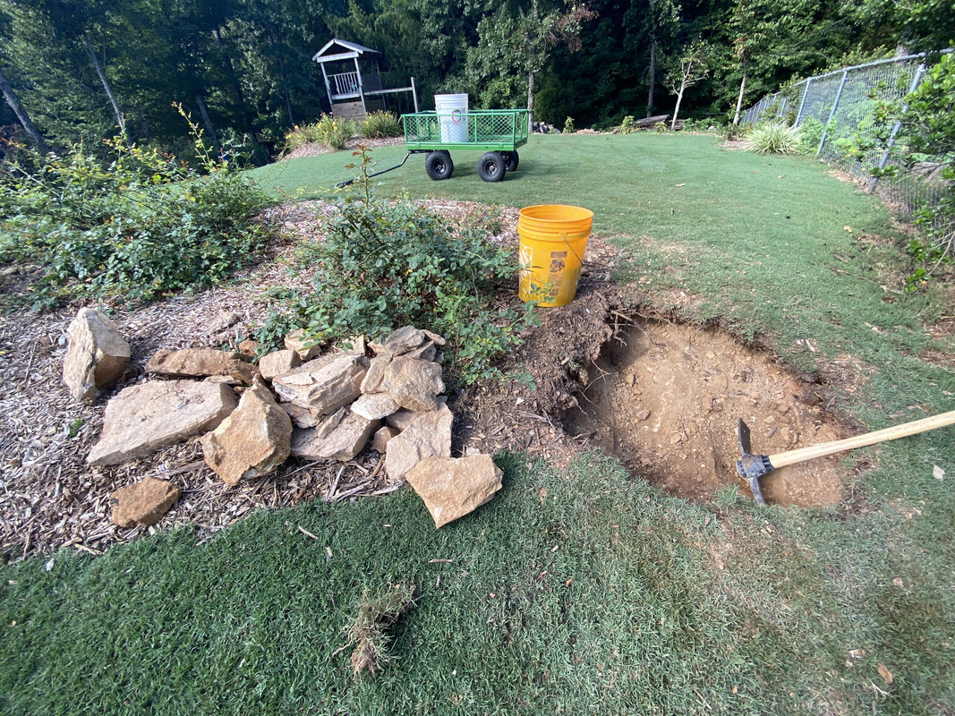 ECA1BF82-D1E0-4C11-825D-553C1CC4FC25