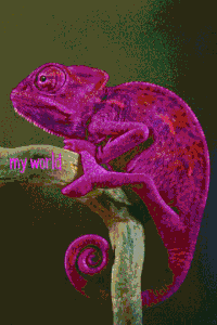 4621eb601bde763551ae21903ea4fdc4-w200.gif