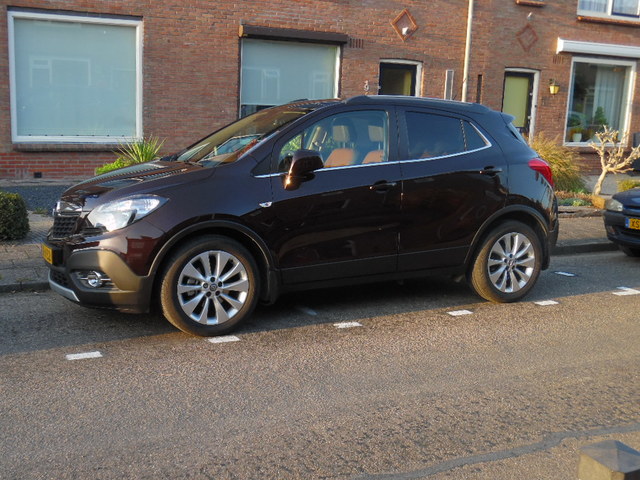 a Opel mokka bruin
