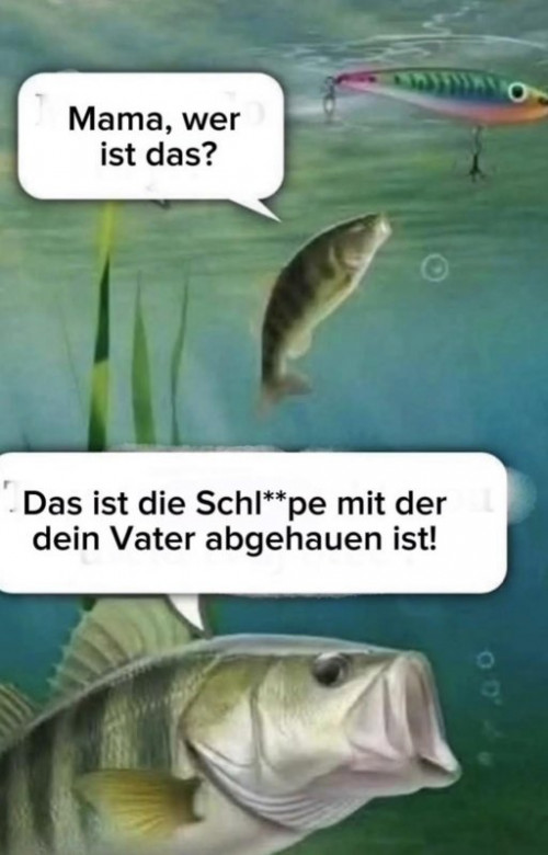 thumbs-picdump951-04.jpg