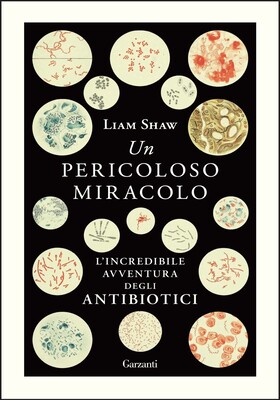 Liam Shaw - Un pericoloso miracolo (2026)