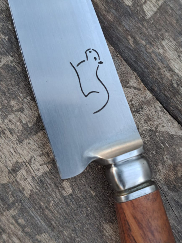 WhatsApp Image 2022-08-22 at 7.34.07 PM (1)