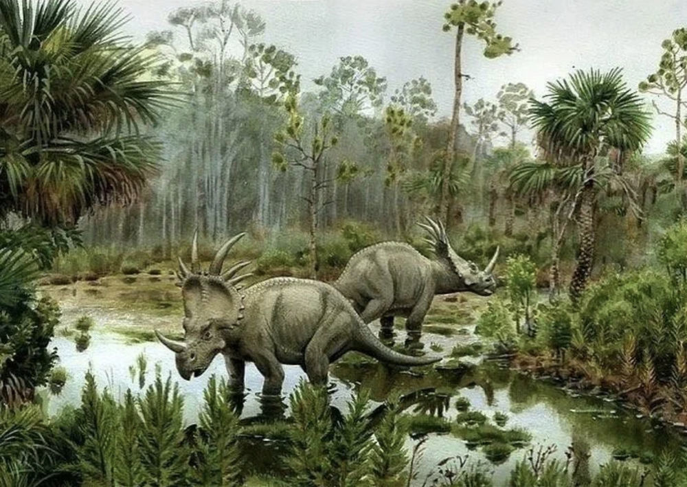 fd01bd488633ac0557e6f27470fb0f00d9fc8i