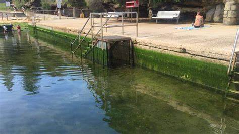 44ADD9CD-D543-42A8-B7CE-B9114DFE33FA