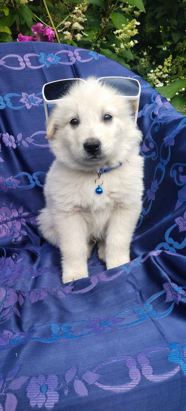 Изображение WhatsApp 2025-08-19 в 10.28.49_b9fd946c