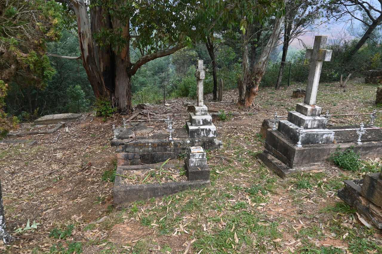 DSC 0801