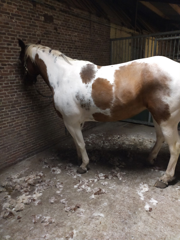 IMG20201111180644 (1)