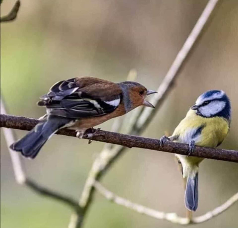 C65CBAFA-DFA8-40D4-A98F-687369E25ADA