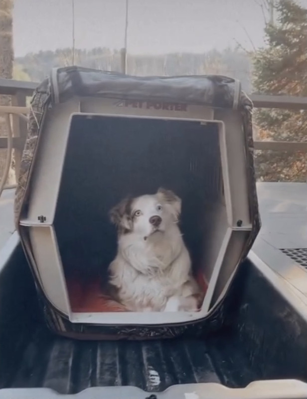 D2EEE5EB-1329-4B8F-B82B-433DF9CF803E