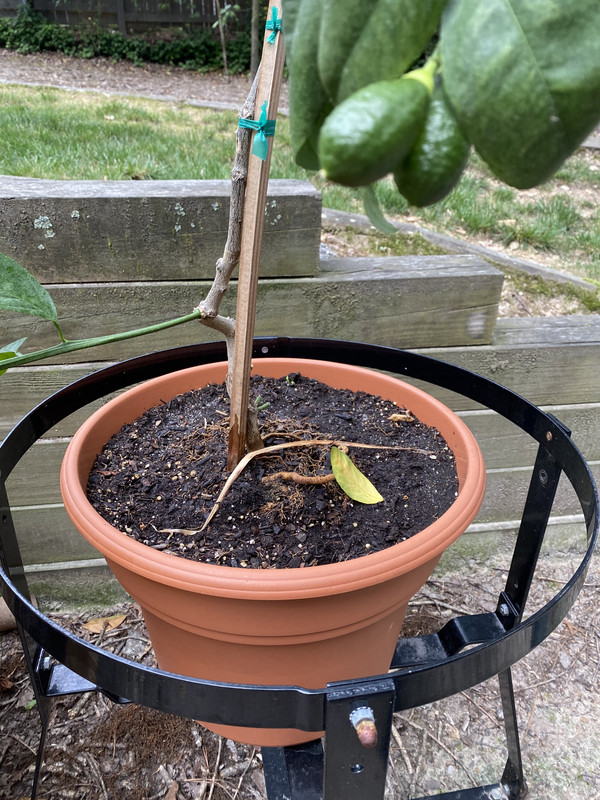 A5D6D603-010D-4AF8-9419-2AB79F5348CE