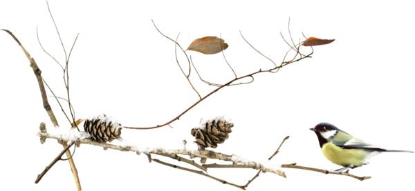 26239484-10210788520094436-4295206901939295345-n