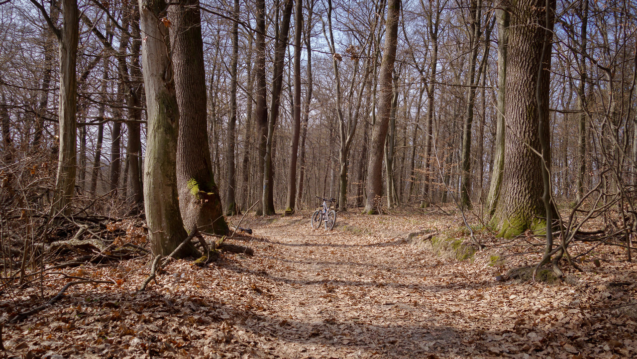 DSC04302.jpg