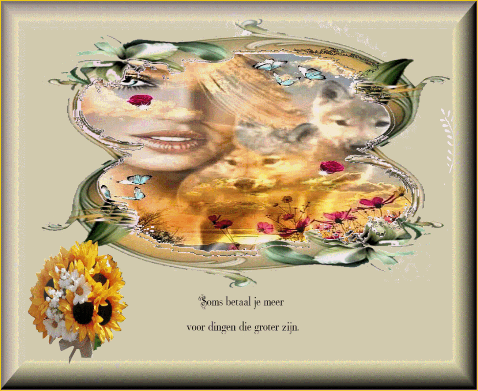 middenplaatje-12-juli-2021