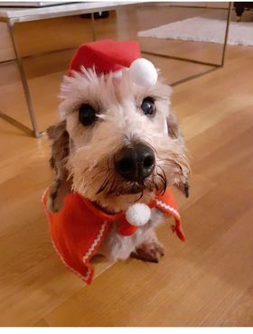 [Image: 256395826-632419547791891-8520013952090069713-n.jpg]