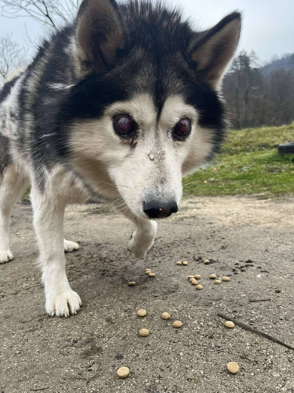 597386022 872613845152565 5368549536924507100 n