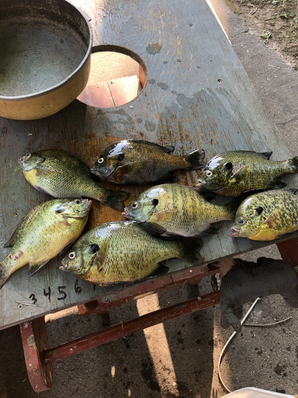 2B6D92CD-B364-4DF3-B2FE-793AA9D3A8A0