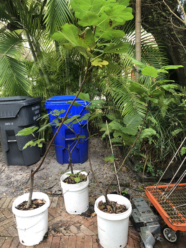 73F6A850-2B38-4AEB-8631-4E87F0970DBB