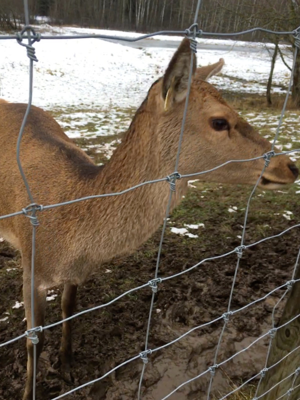 BCCE2713-3BAD-4E48-B892-40EA15CC4ACA