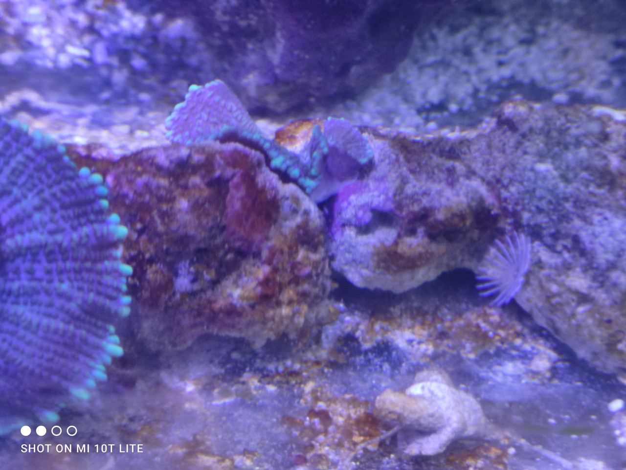 IMG 20251207 183530 1765129018168