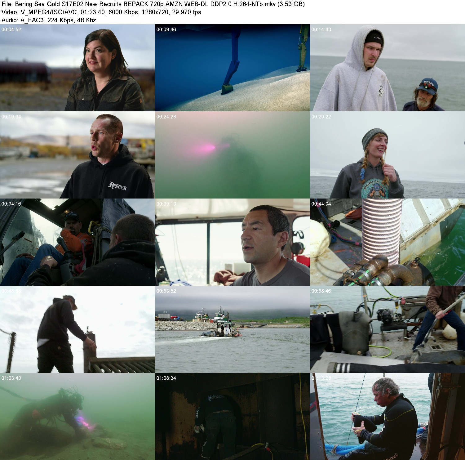 [Image: x97y6a6bcael.jpg]