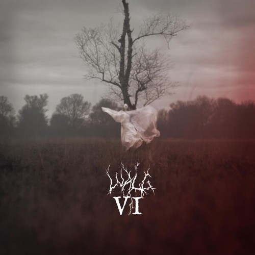 Walg - VI (2026)