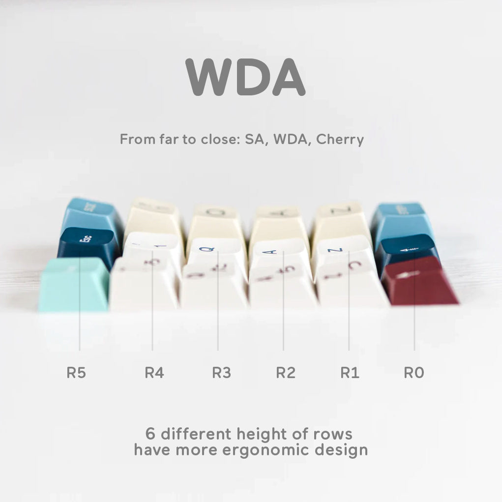 WDA vs Cherry and SA