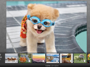 Screen Shot 2021-06-15 at 9.04.26 PM