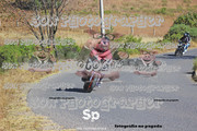 IMG-2354