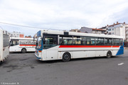 IMG-3124