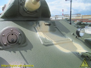 IMG-8183