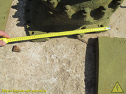 IMG-9541