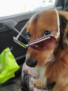 изображение_viber_2020-09-26_17-25-09