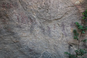 IMG-0730