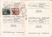 IMG-11