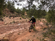 (30/03/2019) CAMPILLO LOS JIMÉNEZ (CEHEGÍN) IMG-5720