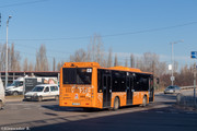 IMG-5243