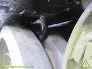 IMG-7458